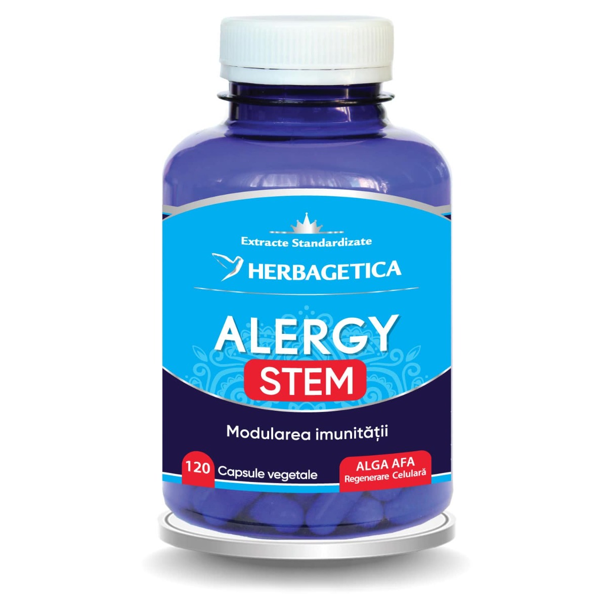 Alergy Stem
