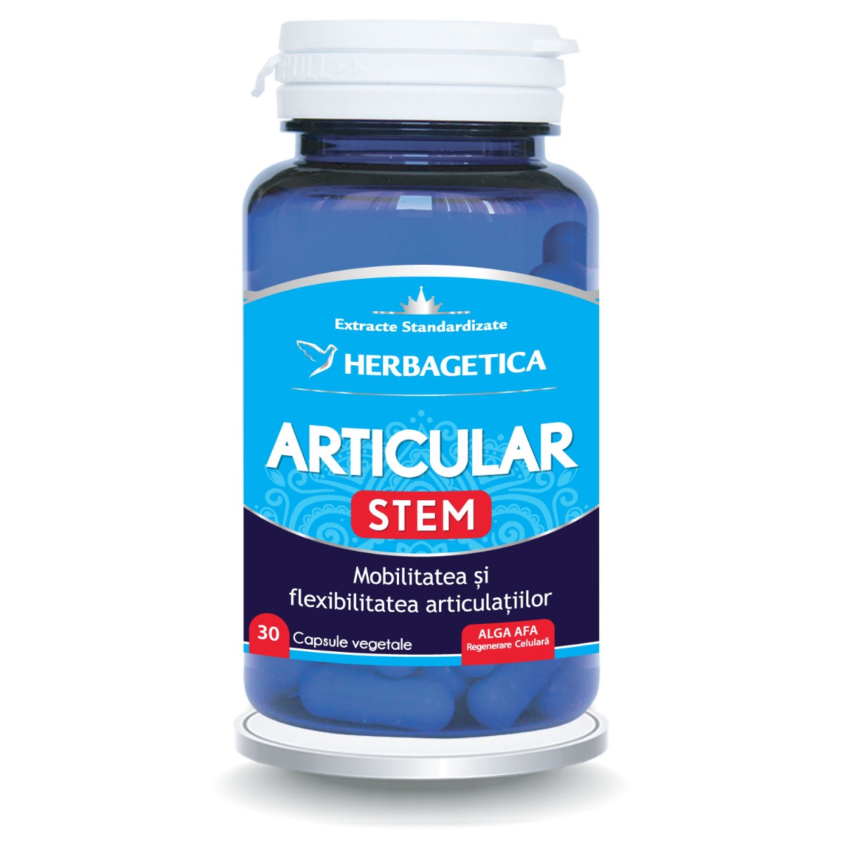 Articular Stem