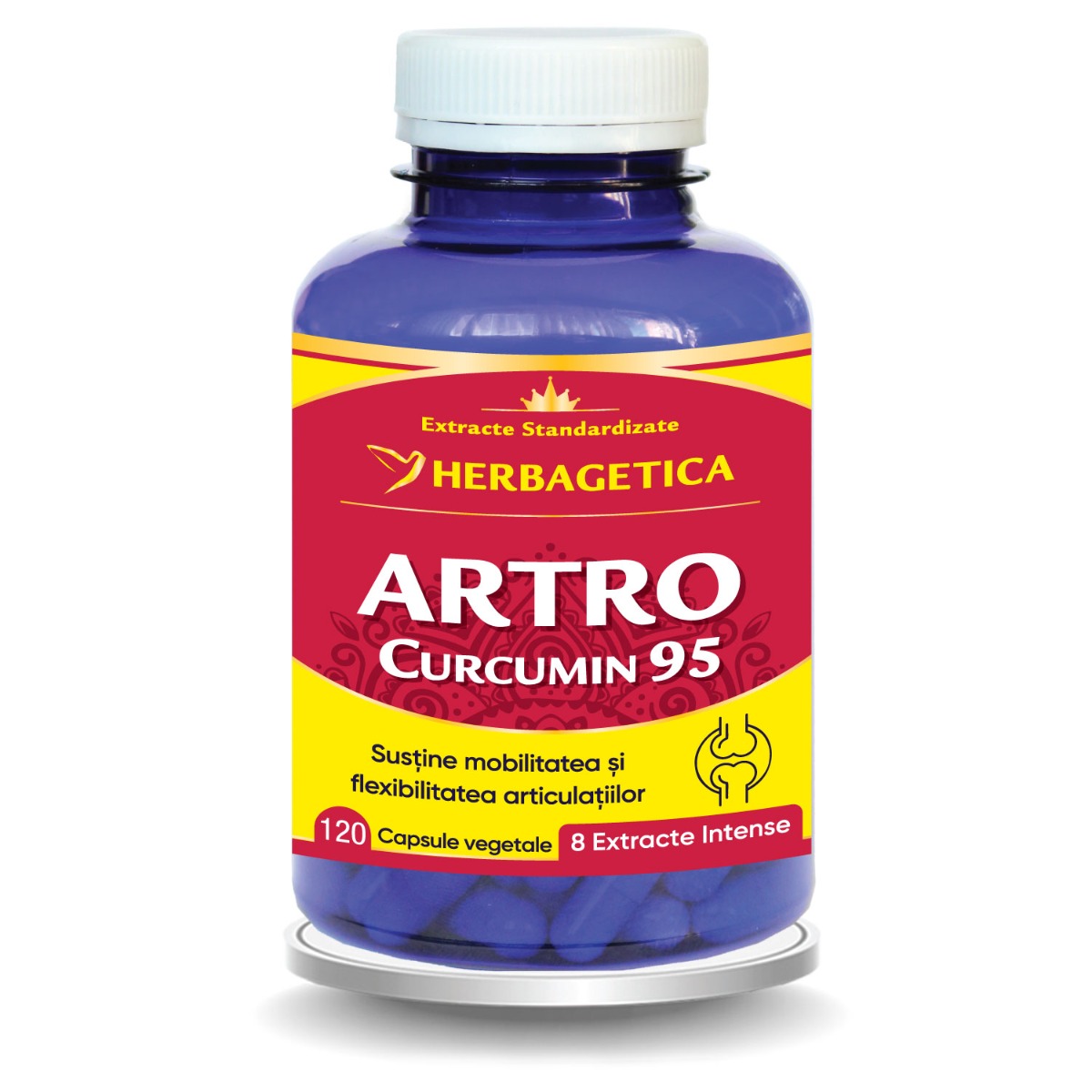 Artro Curcumin 95