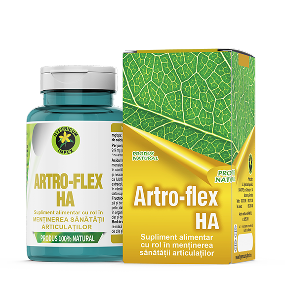 Artro Flex HA, 60 capsule, Hypericum