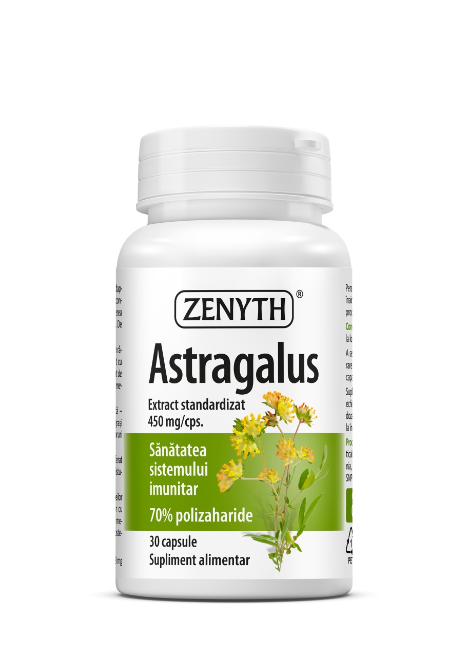 Astragalus, 450 mg, 30 capsule, Zenyth