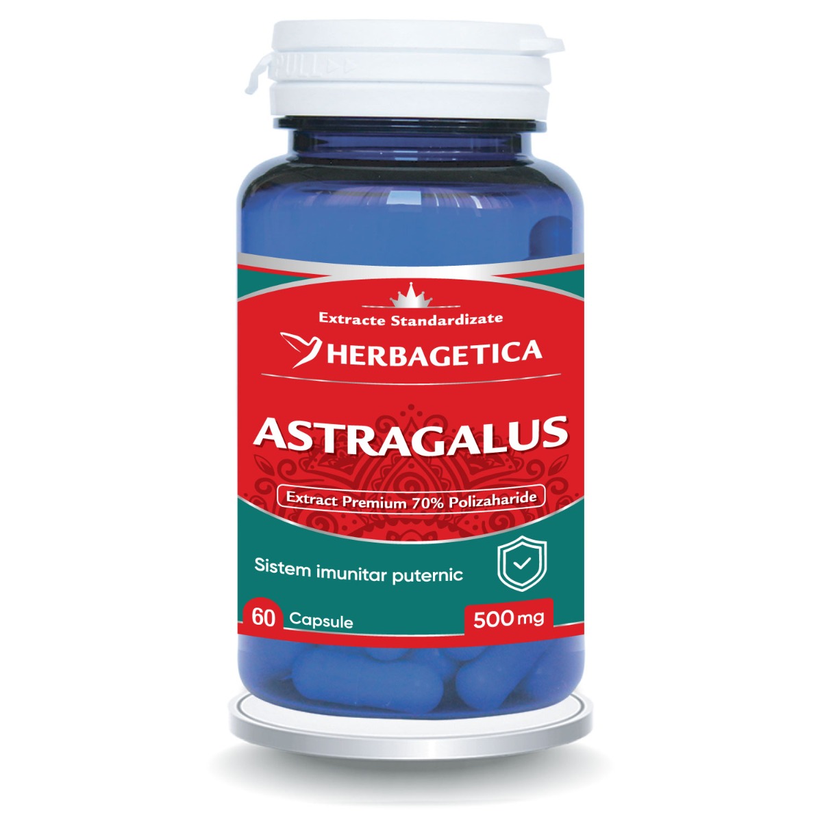 Astragalus
