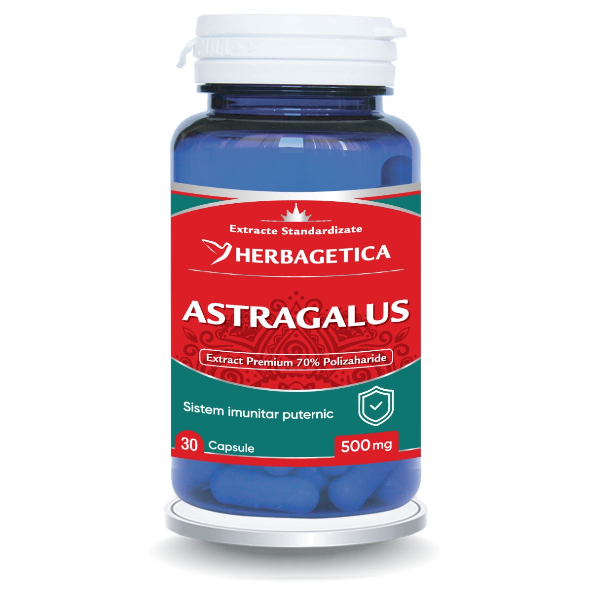 Astragalus