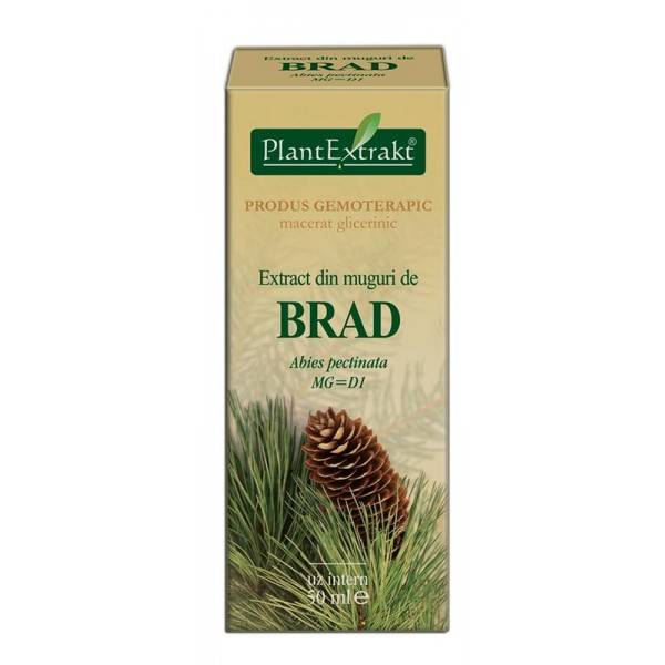 BRAD - muguri - gemoderivat - 50ml - PlantExtrakt - poza 2
