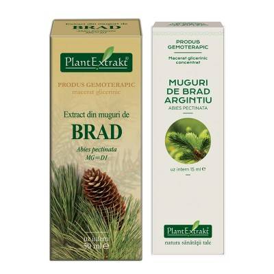 BRAD - muguri - gemoderivat - 50ml - PlantExtrakt - poza 3