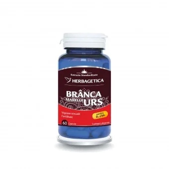 Branca Marelui Urs, 60 capsule, Herbagetica