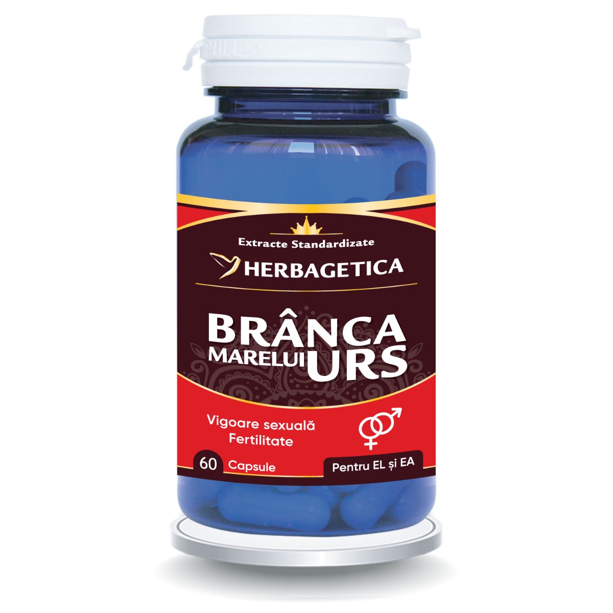 Branca Marelui Urs