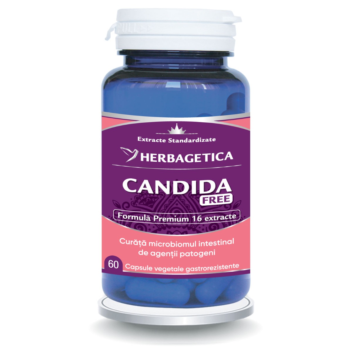 Candida Free