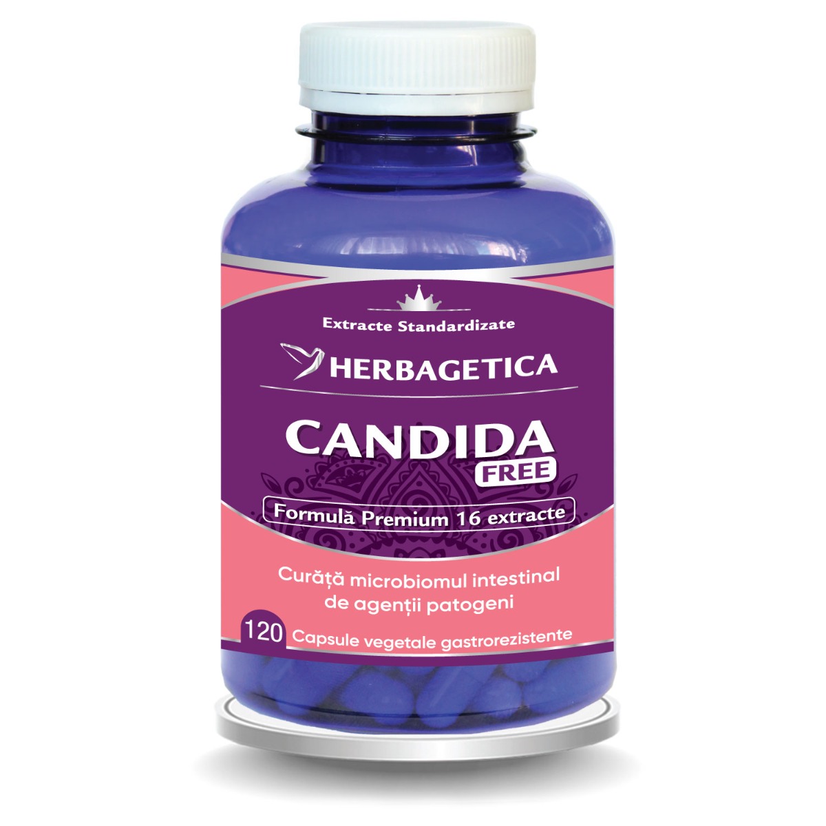 Candida Free