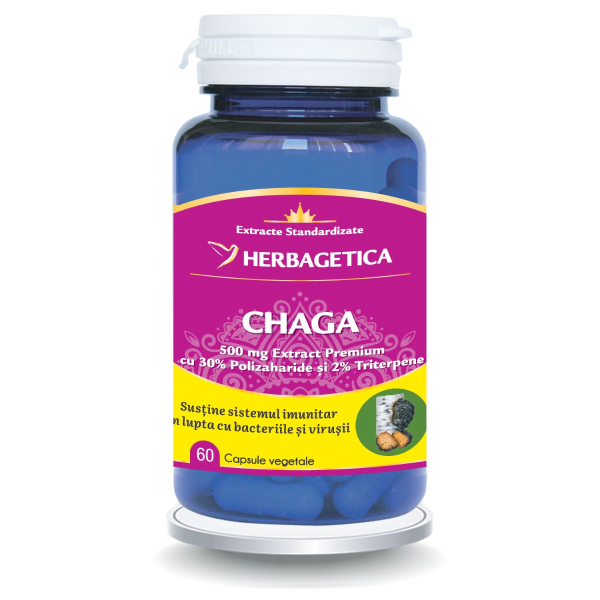 Chaga