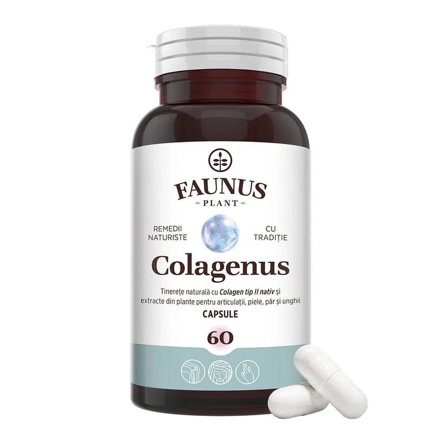 Colagenus Capsule - Colagen concentrat tip II, acid hialuronic și plante medicinale. Dureri articulare, rezistență articulații, flexibilitate - 60 Capsule