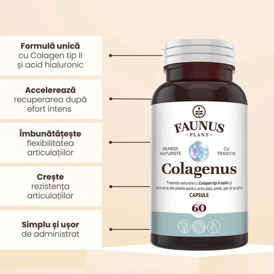 Colagenus Capsule - Colagen concentrat tip II, acid hialuronic și plante medicinale. Dureri articulare, rezistență articulații, flexibilitate - 60 Capsule - poza 3