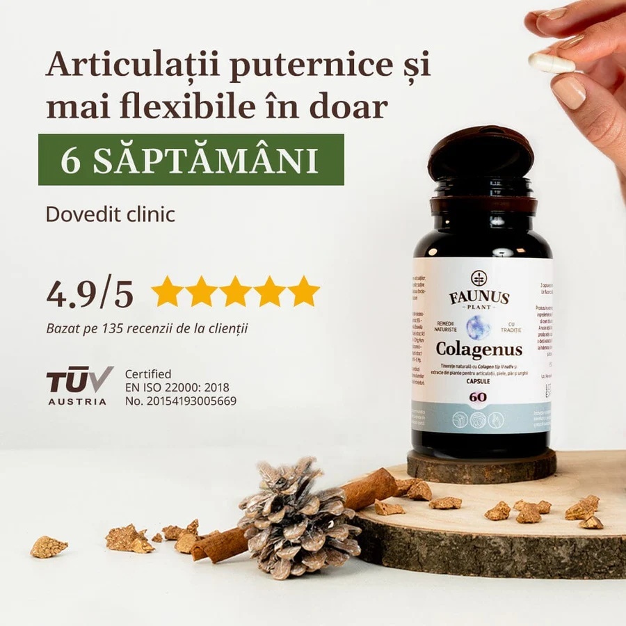 Colagenus Capsule - Colagen concentrat tip II, acid hialuronic și plante medicinale. Dureri articulare, rezistență articulații, flexibilitate - 60 Capsule - poza 4