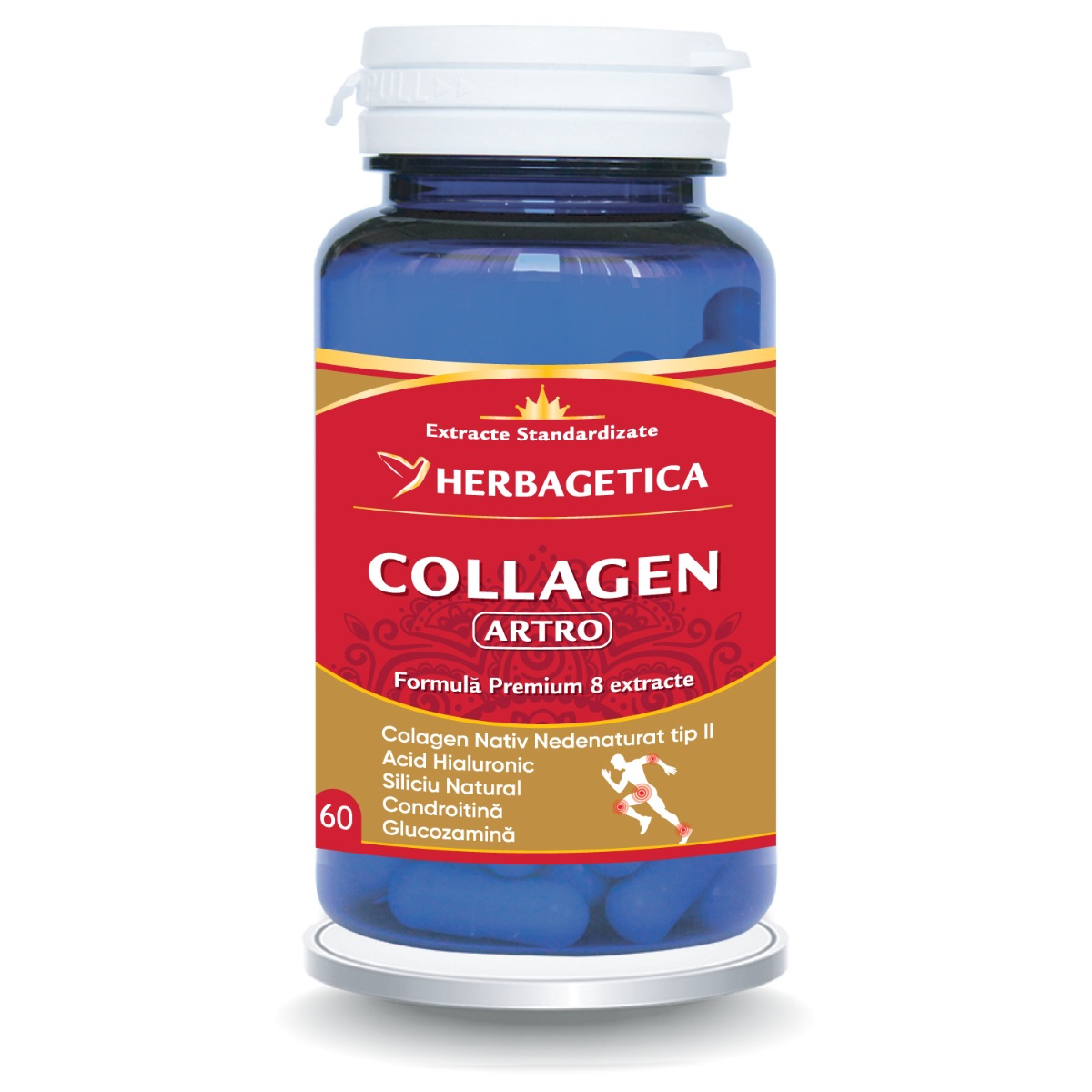 Collagen Artro