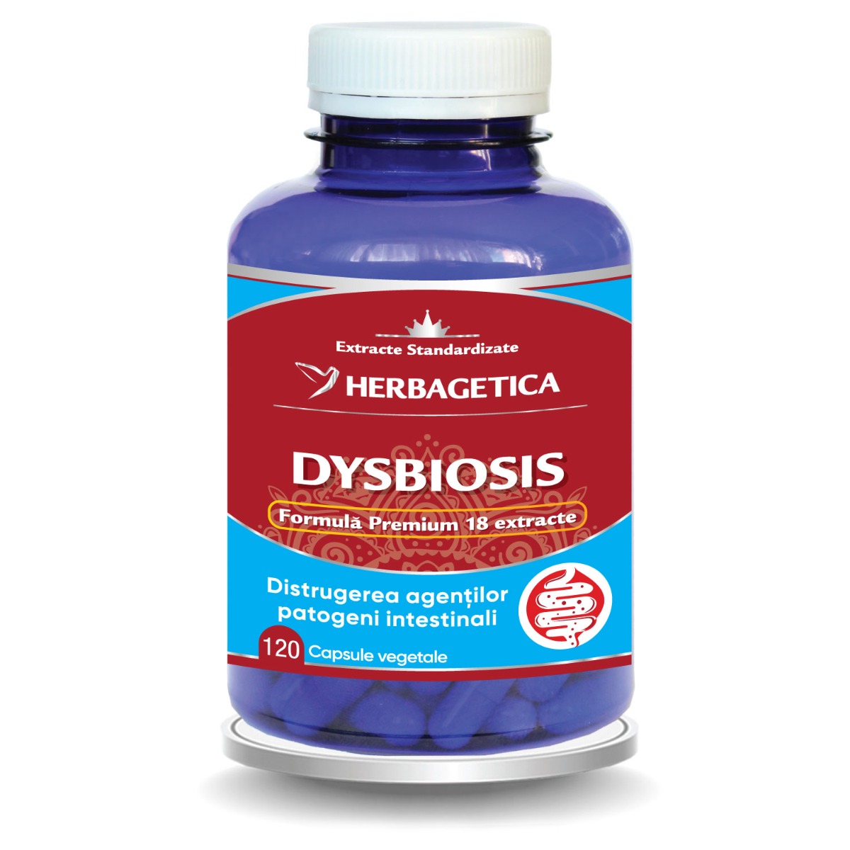 Dysbiosis