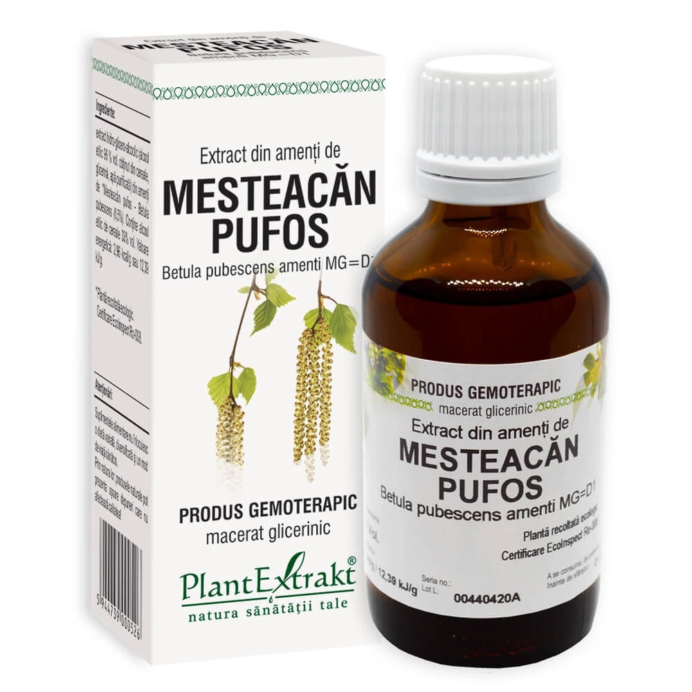 Extract din amenti de mesteacan pufos, 50ml, PlantExtrakt