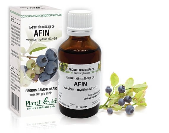 Extract din mladite de Afin, 50ml, PlantExtrakt