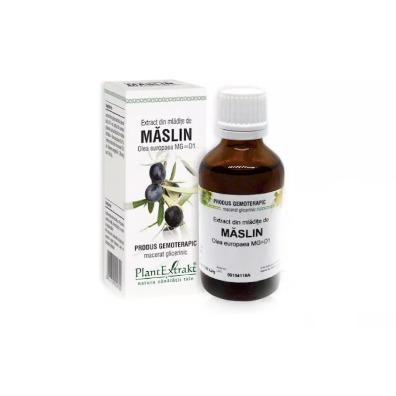 Extract din mladite de Maslin, 50ml, PlantExtrakt