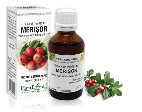 Extract din mladite de Merisor, 50ml, PlantExtrakt