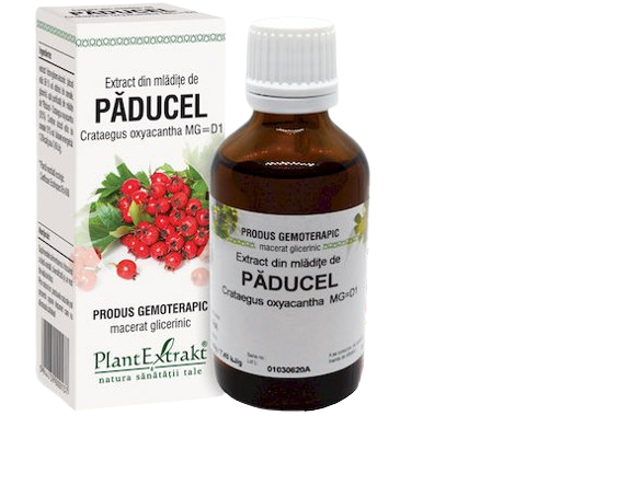 Extract din mladite de paducel, 50ml, PlantExtrakt
