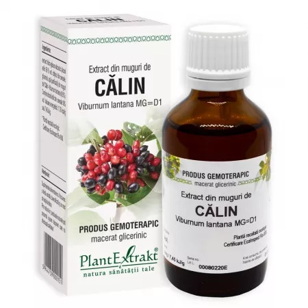 Extract din muguri de calin, 50ml, PlantExtrakt