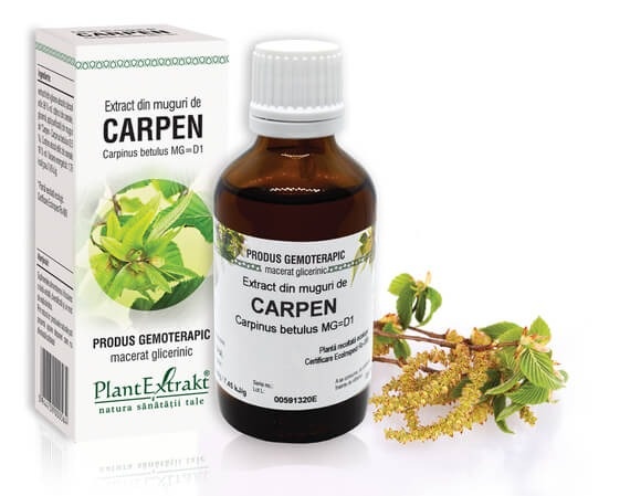 Extract din muguri de Carpen, 50ml, PlantExtrakt
