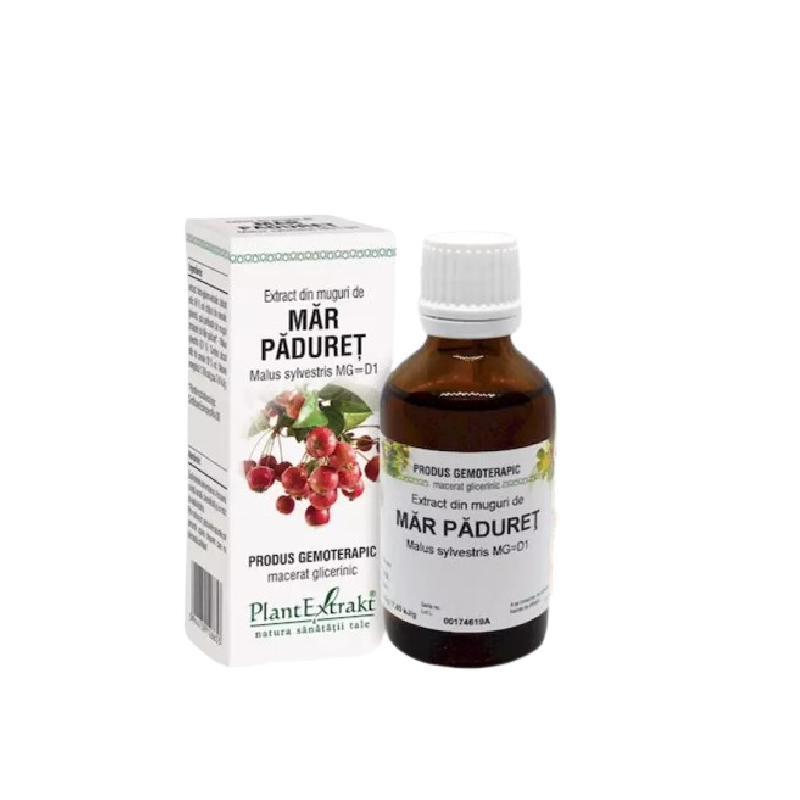 Extract din muguri de Mar Paduret, 50ml, PlantExtrakt