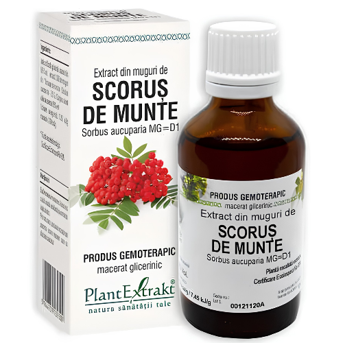 Extract Din Muguri De Scorus de Munte 50ml Plantextrakt