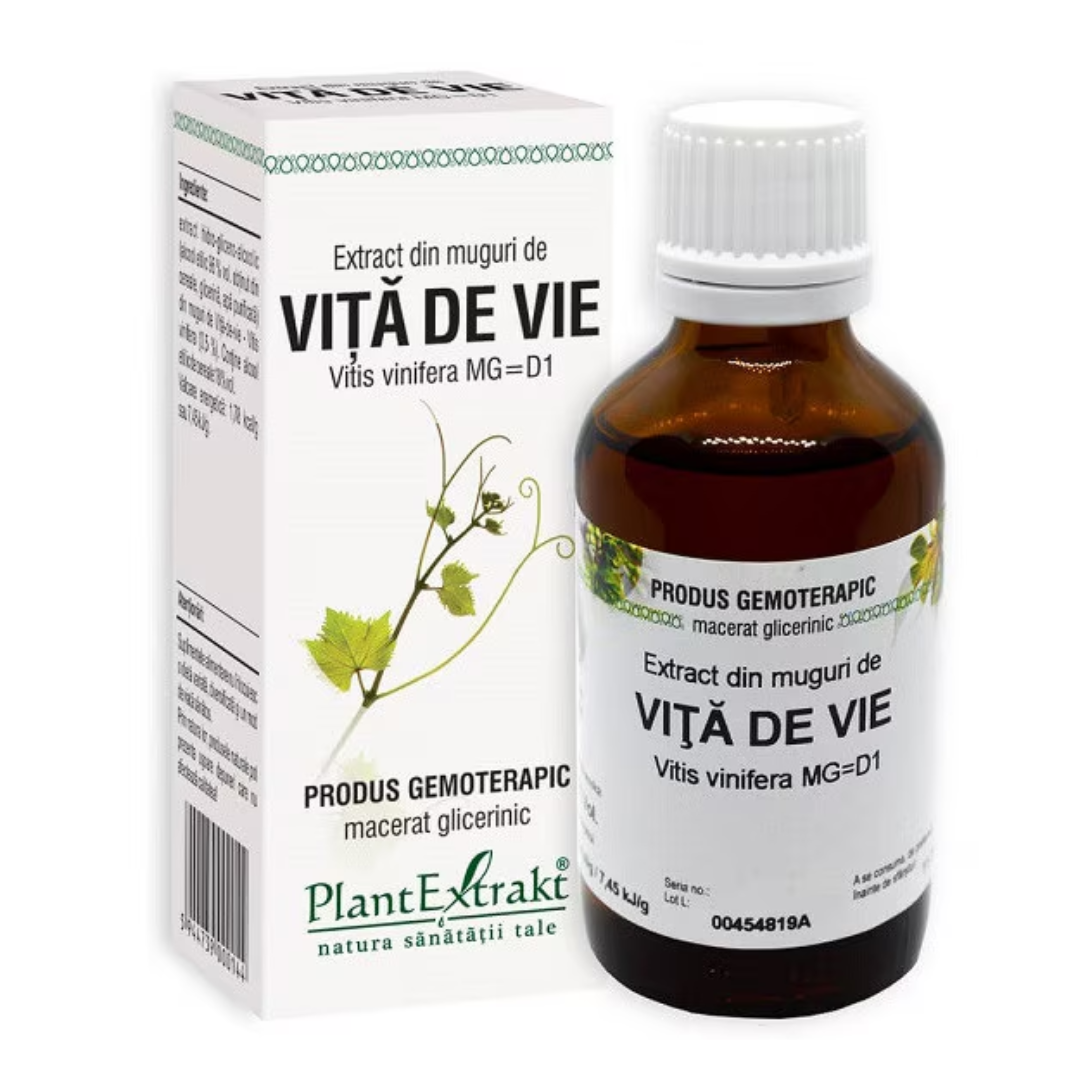 Extract din muguri de Vita de Vie, 50 ml, Plant Extrakt