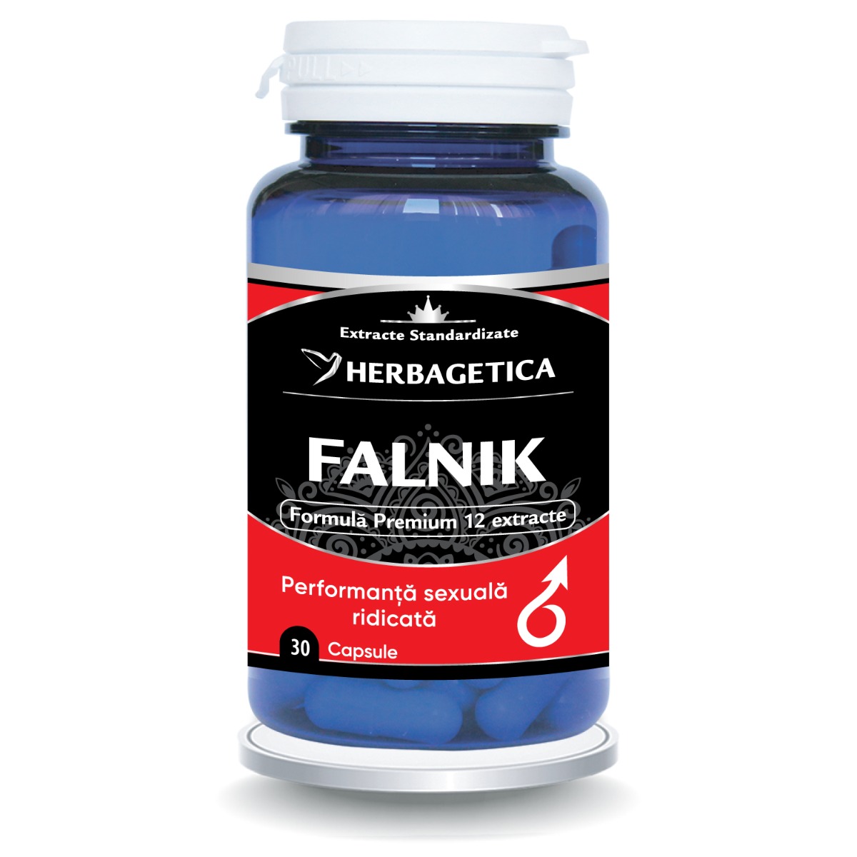Falnik