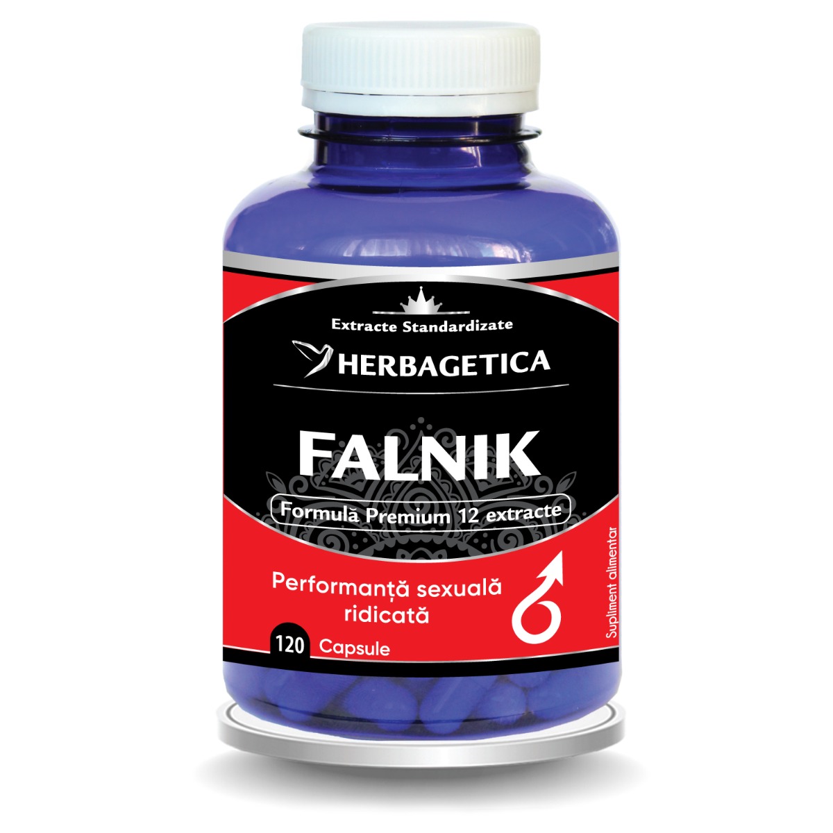 Falnik