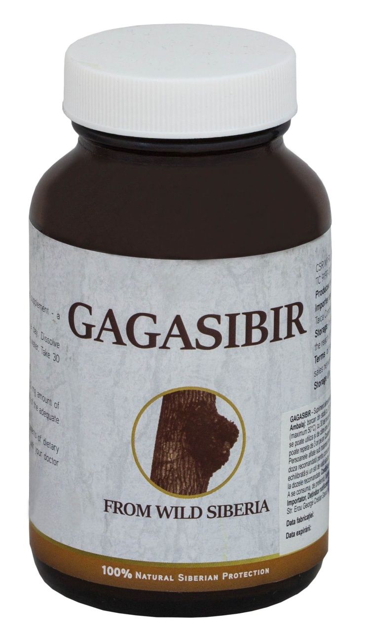 Gagasibir, Chaga din Siberia, 13g