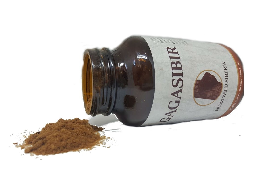 Gagasibir, Chaga din Siberia, 13g - poza 2
