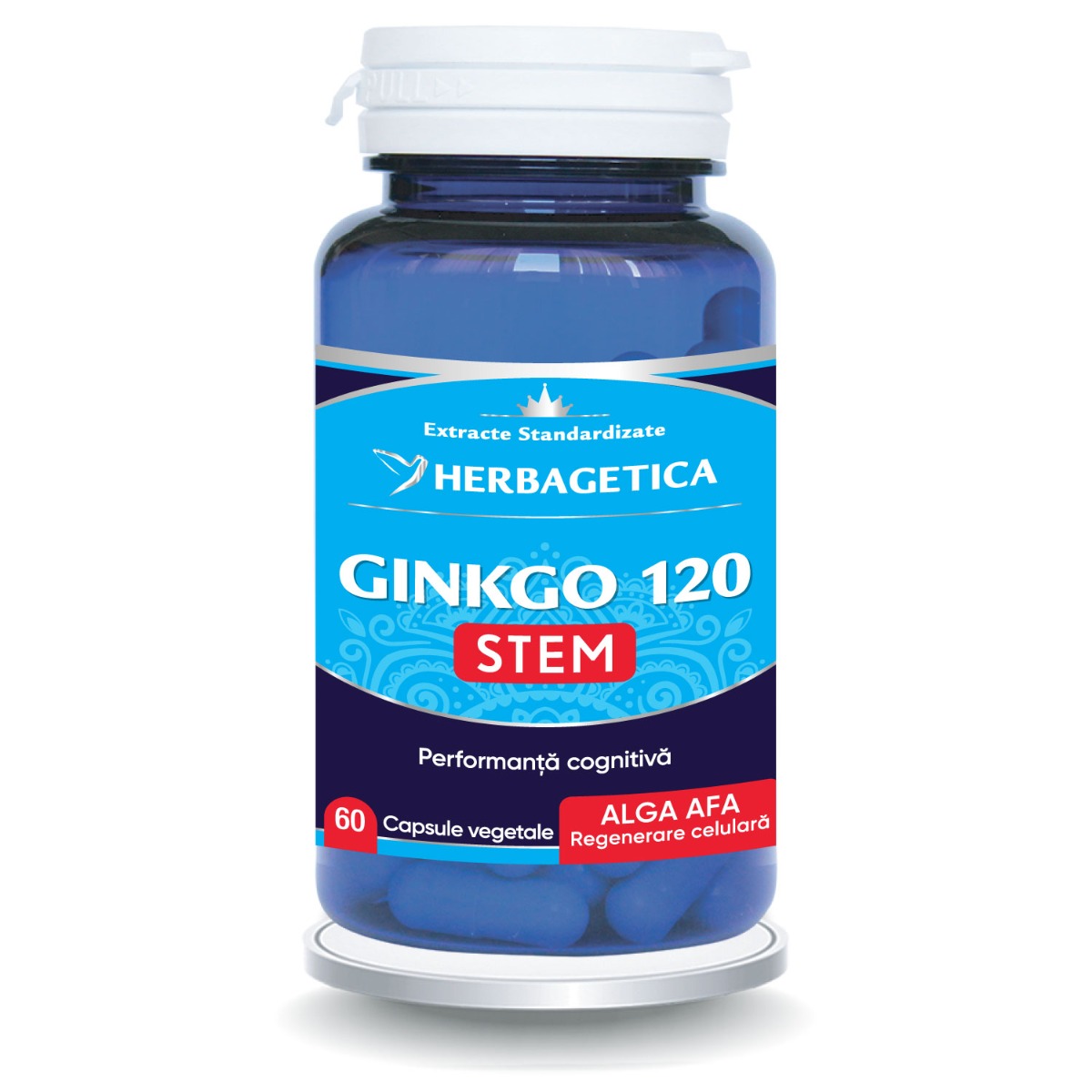 Ginkgo120 Stem