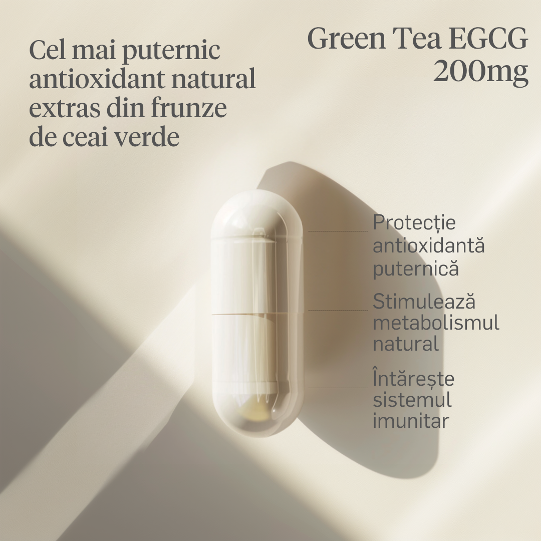 Green Tea 200mg