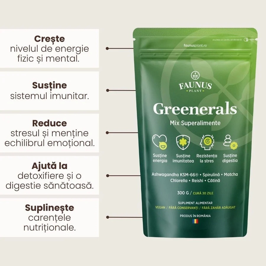 Greenerals - Amestec de superalimente naturale cu nutrienți esențiali pentru organism. Pudră 300g. Energie și vitalitate. Susține imunitatea și detoxifierea în mod natural cu un mix de verdețuri, superalimente și antioxidanți - poza 3