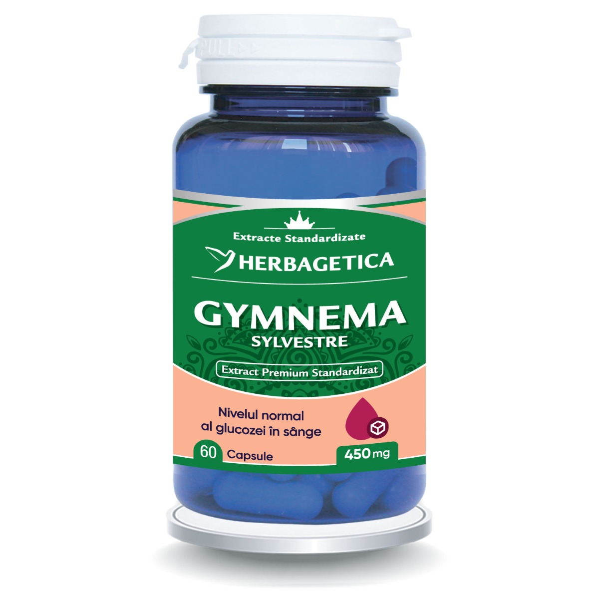 GYMNEMA SYLVESTRE
