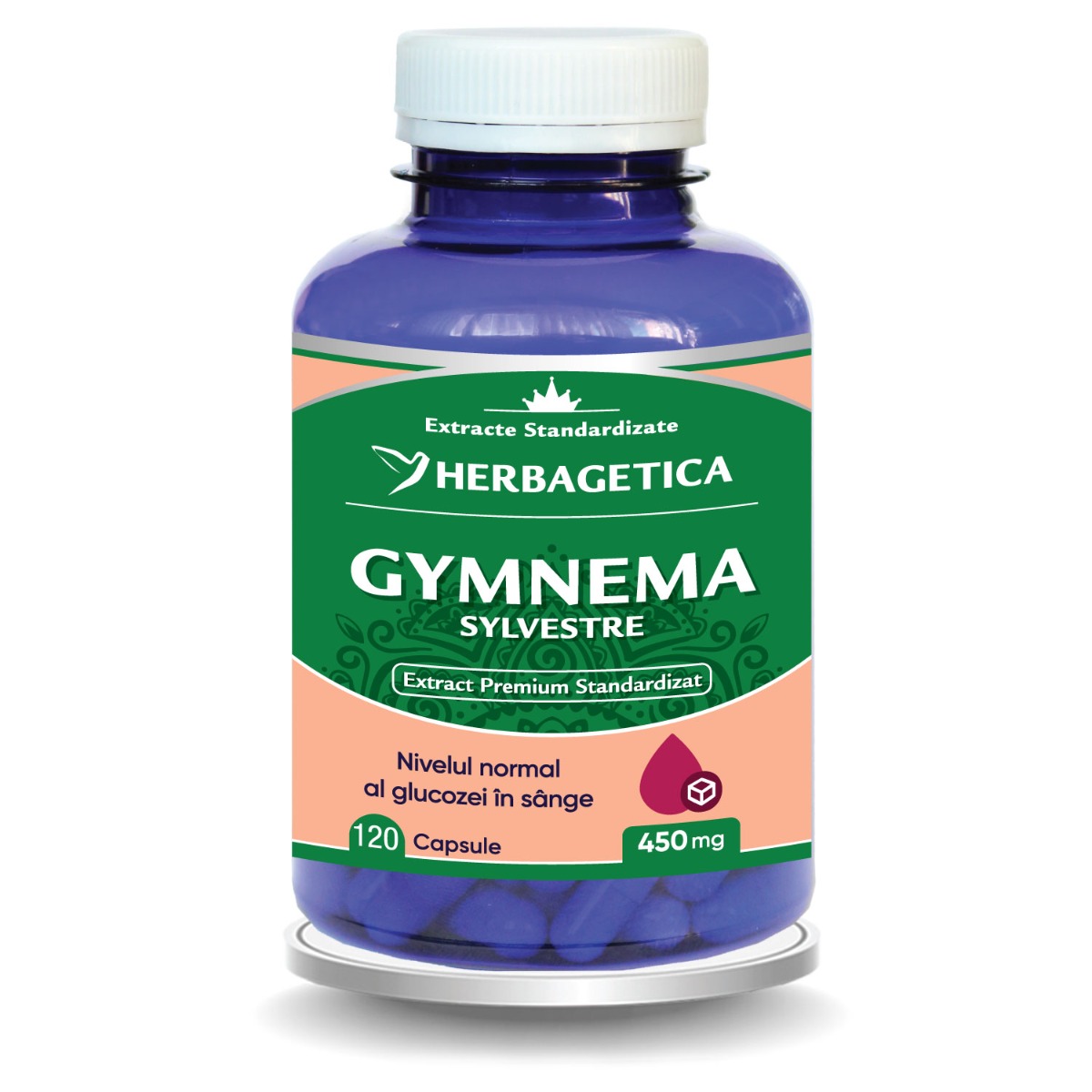 GYMNEMA SYLVESTRE
