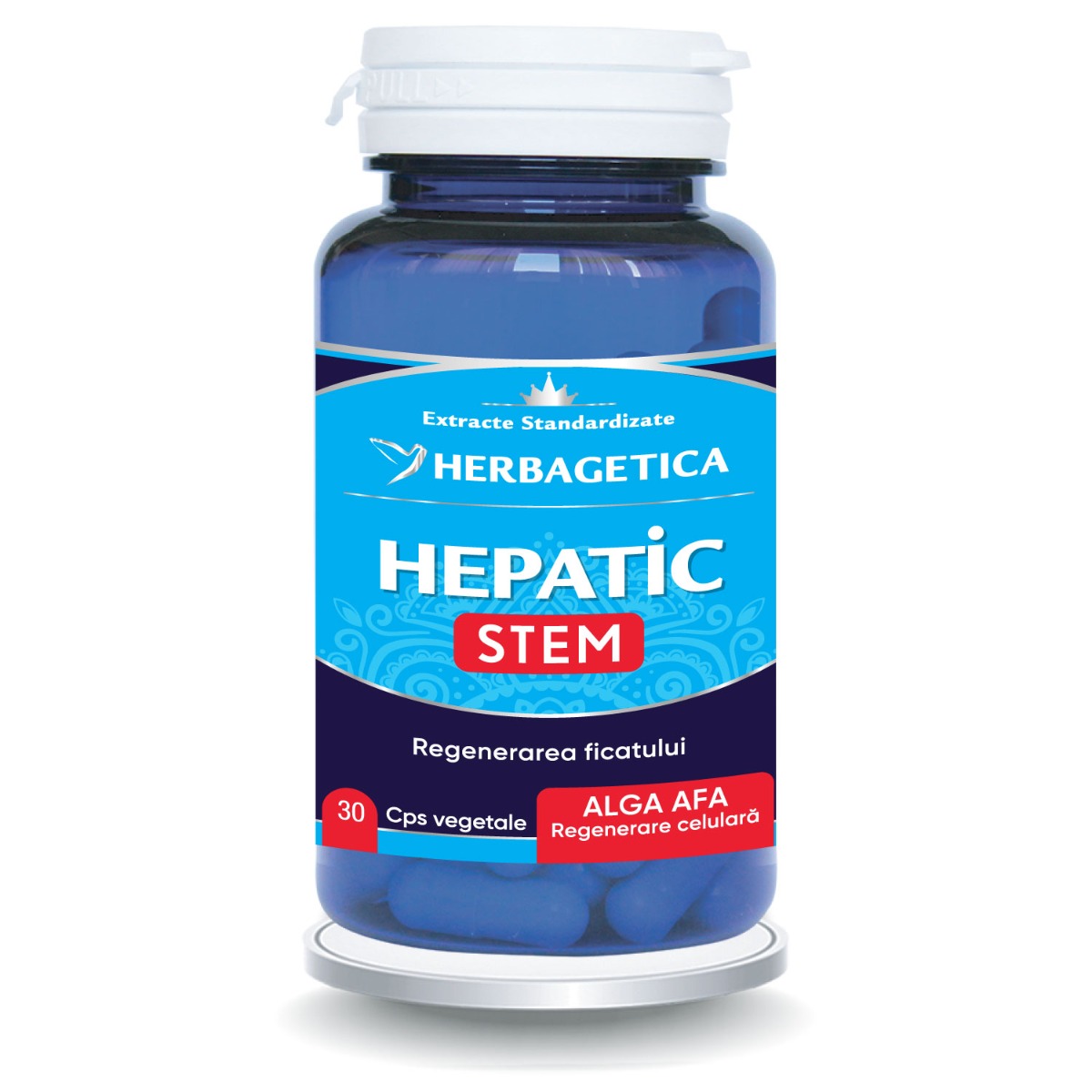 Hepatic Stem