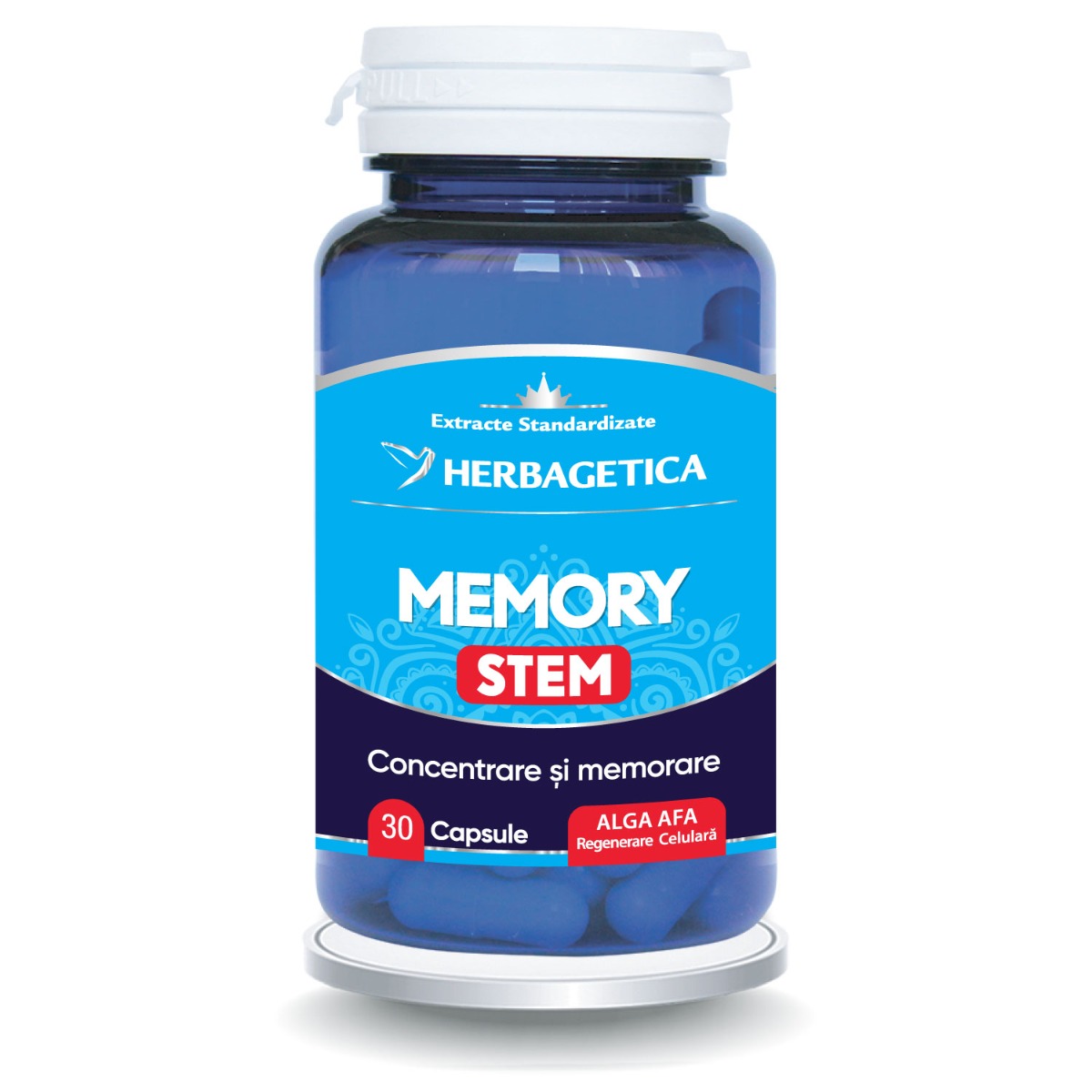 Memory Stem