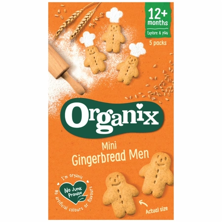 MINI BISCUITI ECOLOGICI BIO CU GHIMBIR 12+ LUNI 5X20G 100659