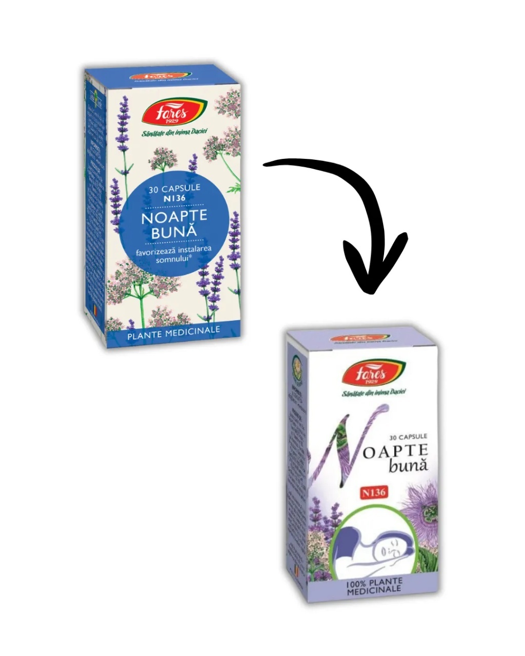 Noapte buna - N136, 30 capsule, Fares