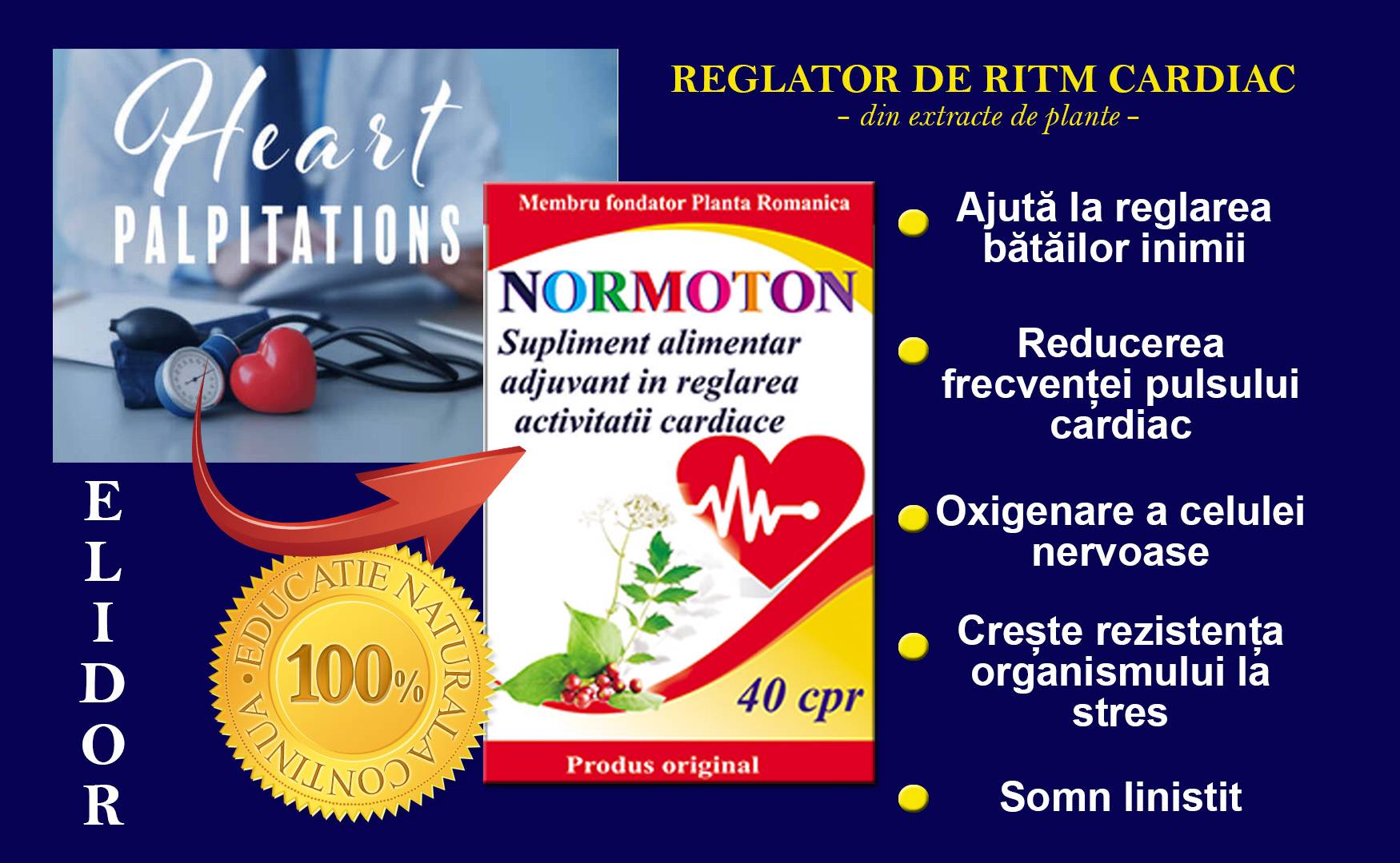 Normoton - reglator de ritm cardiac, 40 comprimate, Pontica - Elidor - poza 2