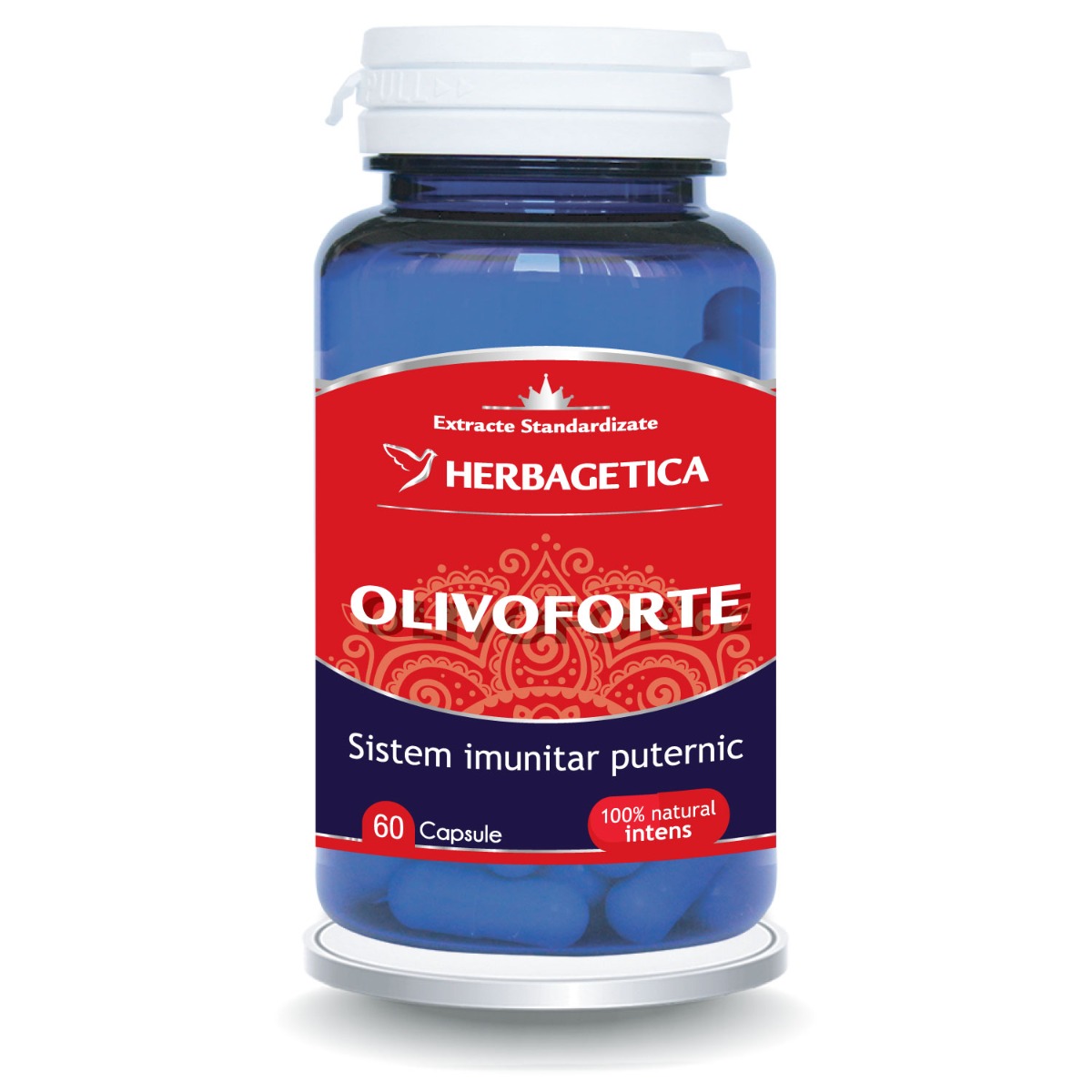 Olivo Forte