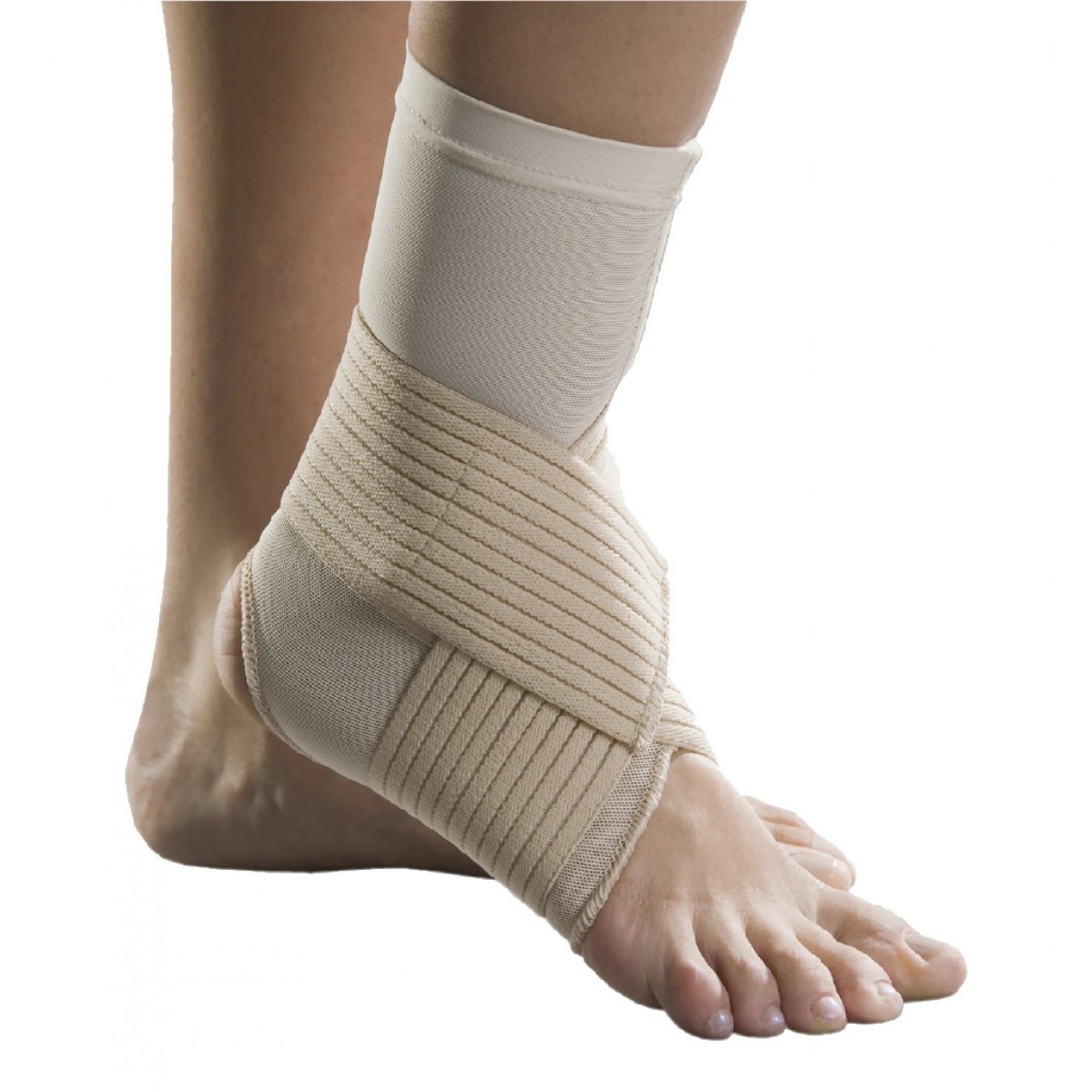 Orteza glezna M, 1601, Anatomic Help