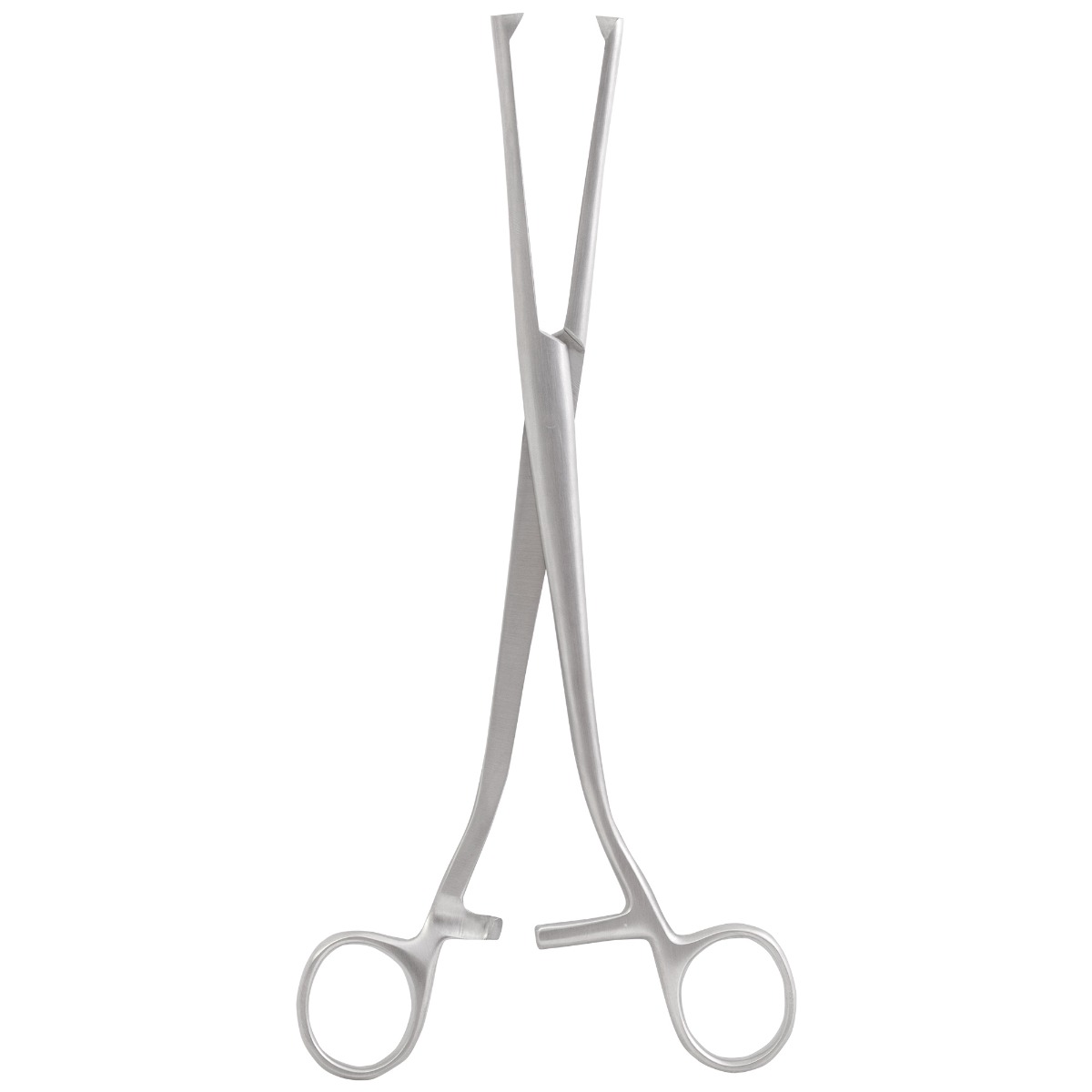 Pensa Museaux 24cm