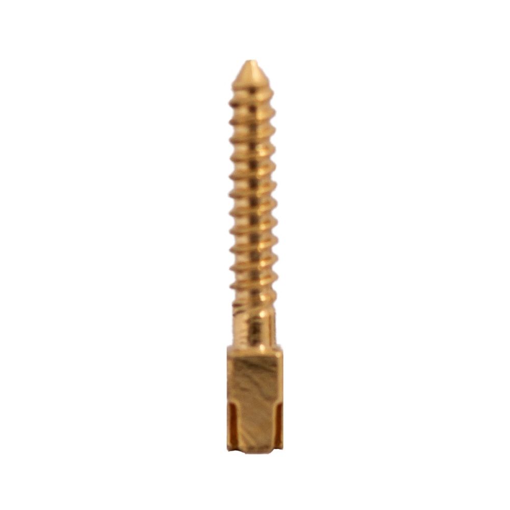 Pivoti endodontici din otel inox, PRIMA, auriti, diverse marimi, 10 buc