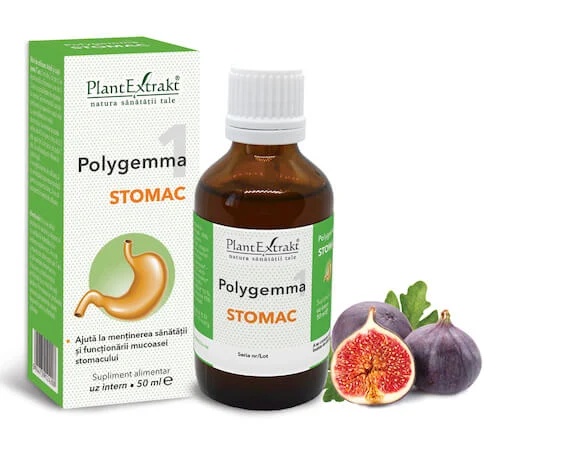 Polygemma 1, Stomac, 50 ml, Plant Extrakt