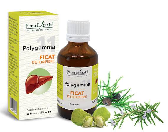 Polygemma 11 - Ficat detoxifiere 50ml Plantextrakt - poza 1