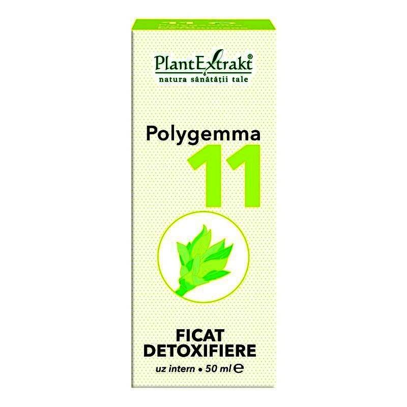 Polygemma 11 - Ficat detoxifiere 50ml Plantextrakt - poza 2